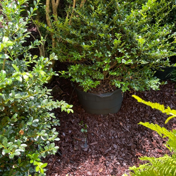 Lgsservices.org - Picture 5 of 16